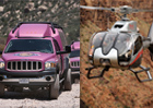 Jeep and Air Tour