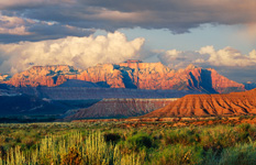 Zion National Park