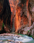 Zion National Park