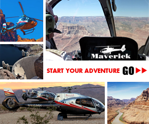 Start Your Adventure - Go!