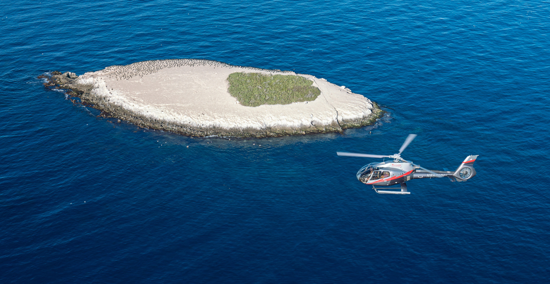 Take in views of Bird Rock from above during the Catalina Explorer tour.