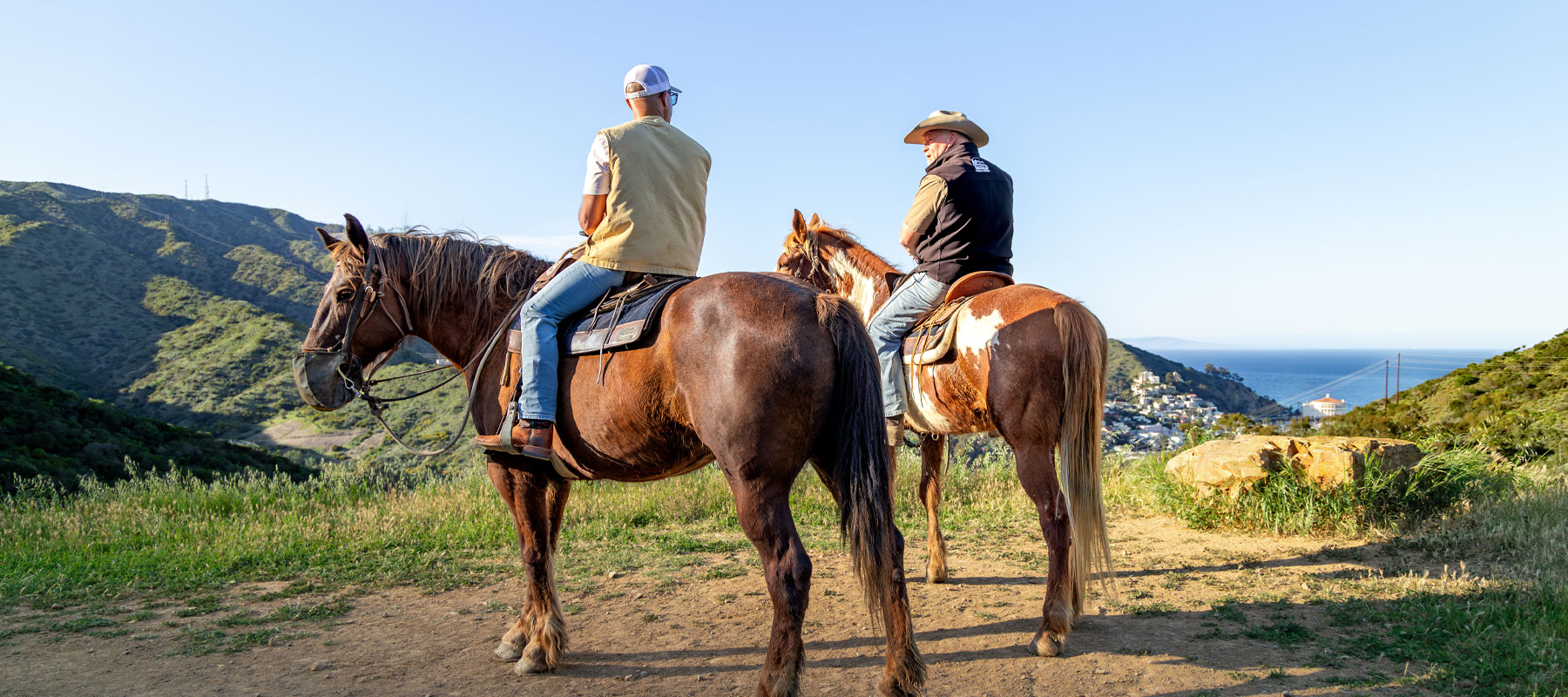 Two riders on horseback on a ridge overlooking the Pacific Ocean on Catalina Island