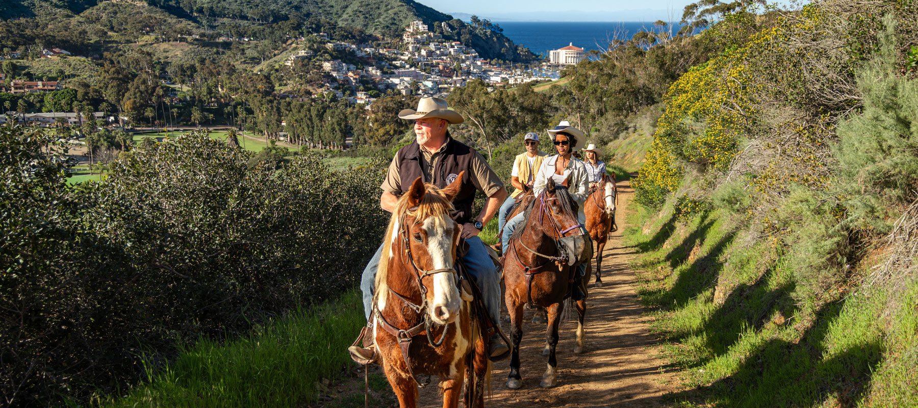 Guided horseback riders on a trail above Avalon on Catalina Island