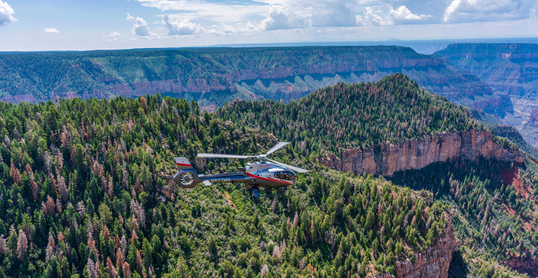 Scenic Grand Canyon Flight over the Kaibab National Forest